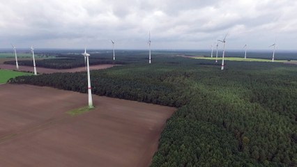 Alemania busca hacer atractiva la energía eólica ofreciendo subsidios
