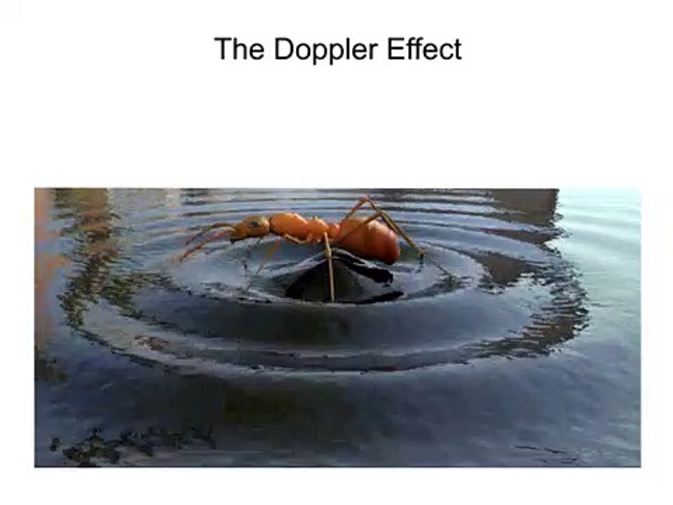 What is the Doppler Effect 2020 | what is the Doppler effect of sound, what is the Doppler effect of light, what is the Doppler effect simple, what is the Doppler effect in ultrasound, What is Doppler effect Science Definition