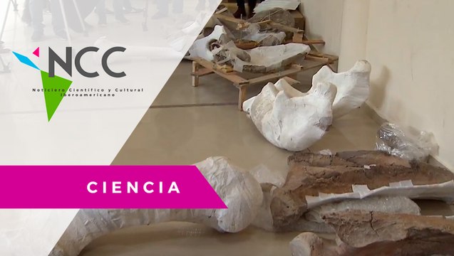 Un asombroso hallazgo en México reescribe la Historia de las antiguas civilizaciones