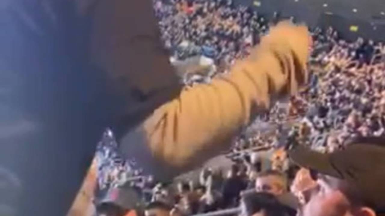 Don't, DO NOT, Spill Mustard On A Boston Girl's Coat And Expect To Live