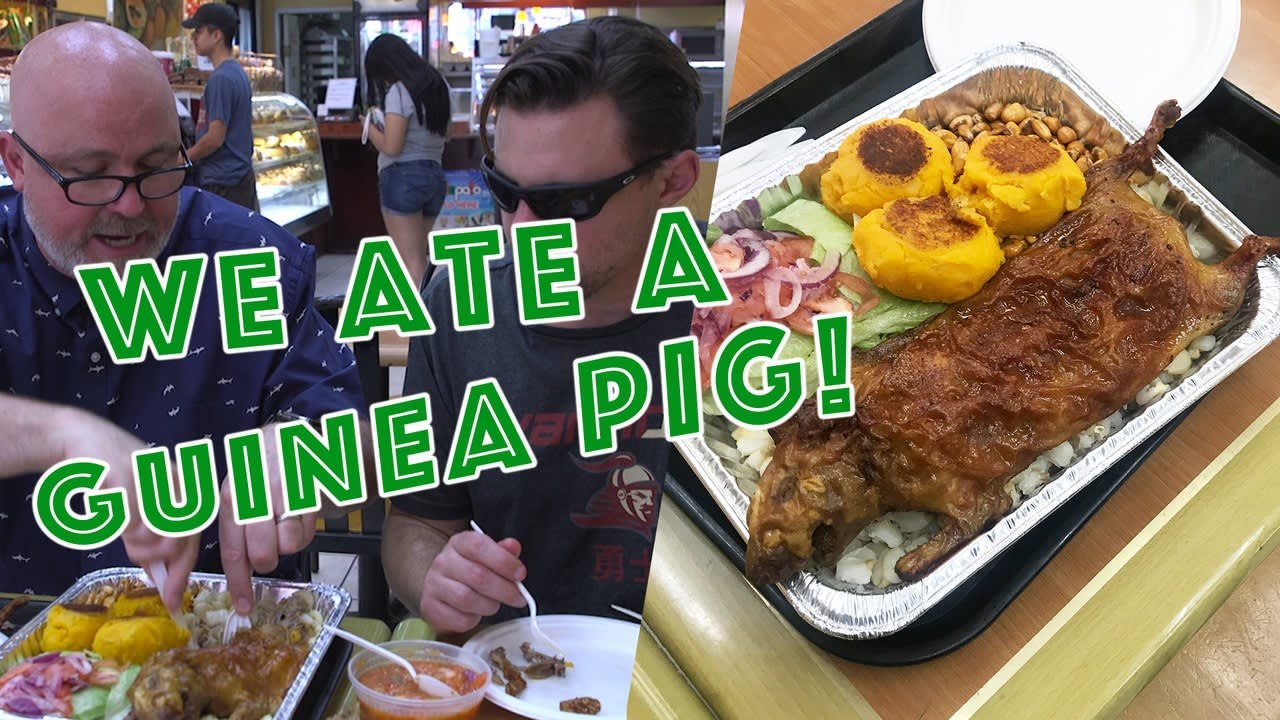 Large and I Ate A Guinea Pig | Whoa! That's Weird