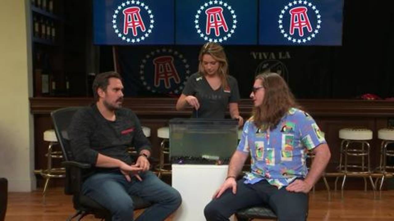 Larry The Gambling Goldfish V Makes His Week 10 NFL Gambling Picks