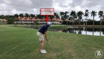 Riggs vs Trump Doral: Golden Palm (Miami, Florida)