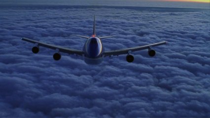 This Is the Trendy Pet Travel Carrier You've Been Seeing All Over Instagram