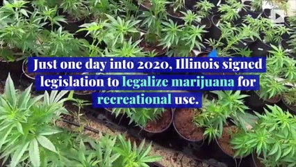 Illinois Legalizes Marijuana