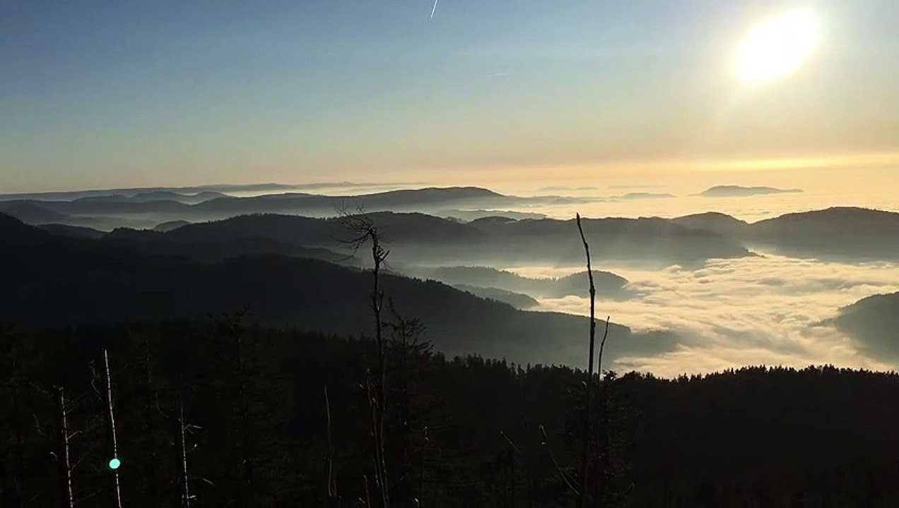 Au dessus des nuages....en forêt-noire !