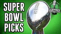 NFL Playoffs 2019 - Super Bowl Predictions