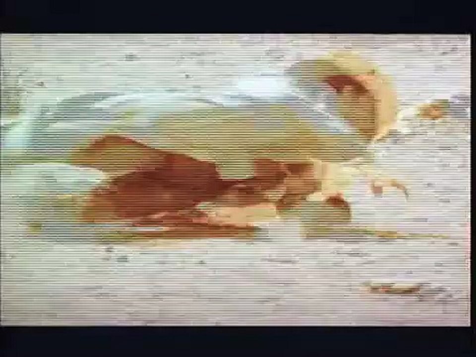 THE MERCENARY - TRAILER