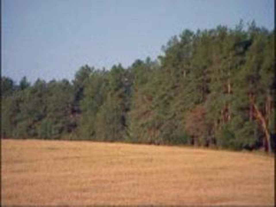 Uta - zhili-buli