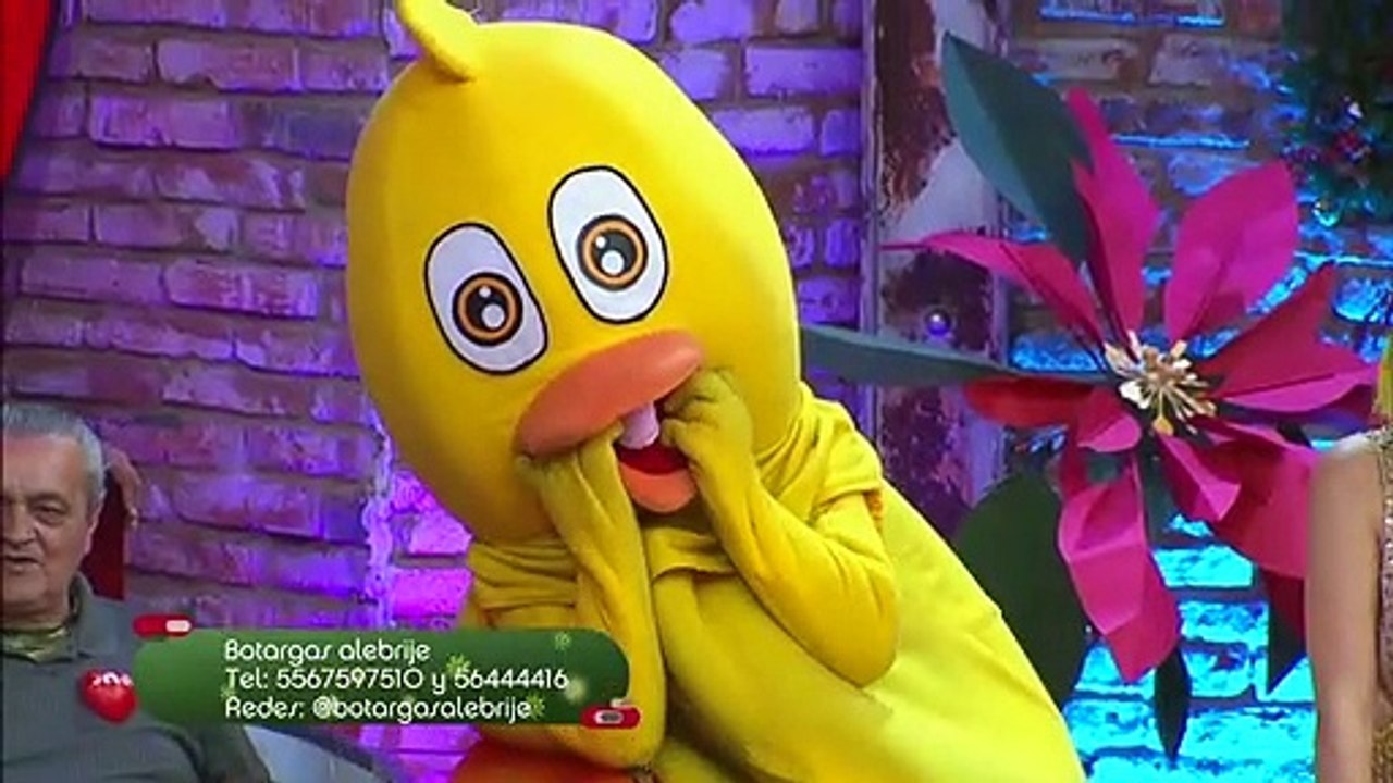 ¡Flechado de Caro gusta dar pruebas de amor! |...