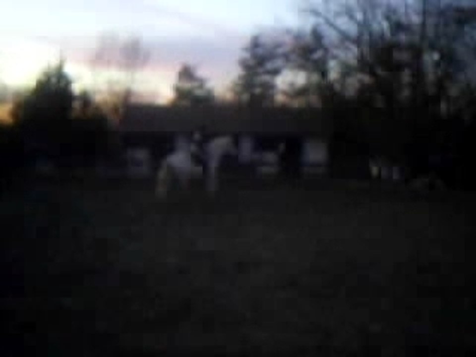 pegase et moi galop