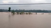 Terribles inundaciones y deslizamientos de tierra en Indonesia dejan 68 muertos