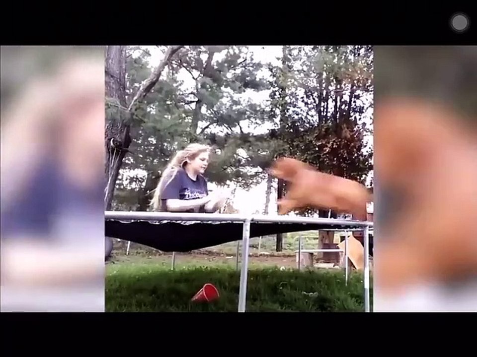 VIDEOS DE RISA 2020 SI TE RIES PIERDES