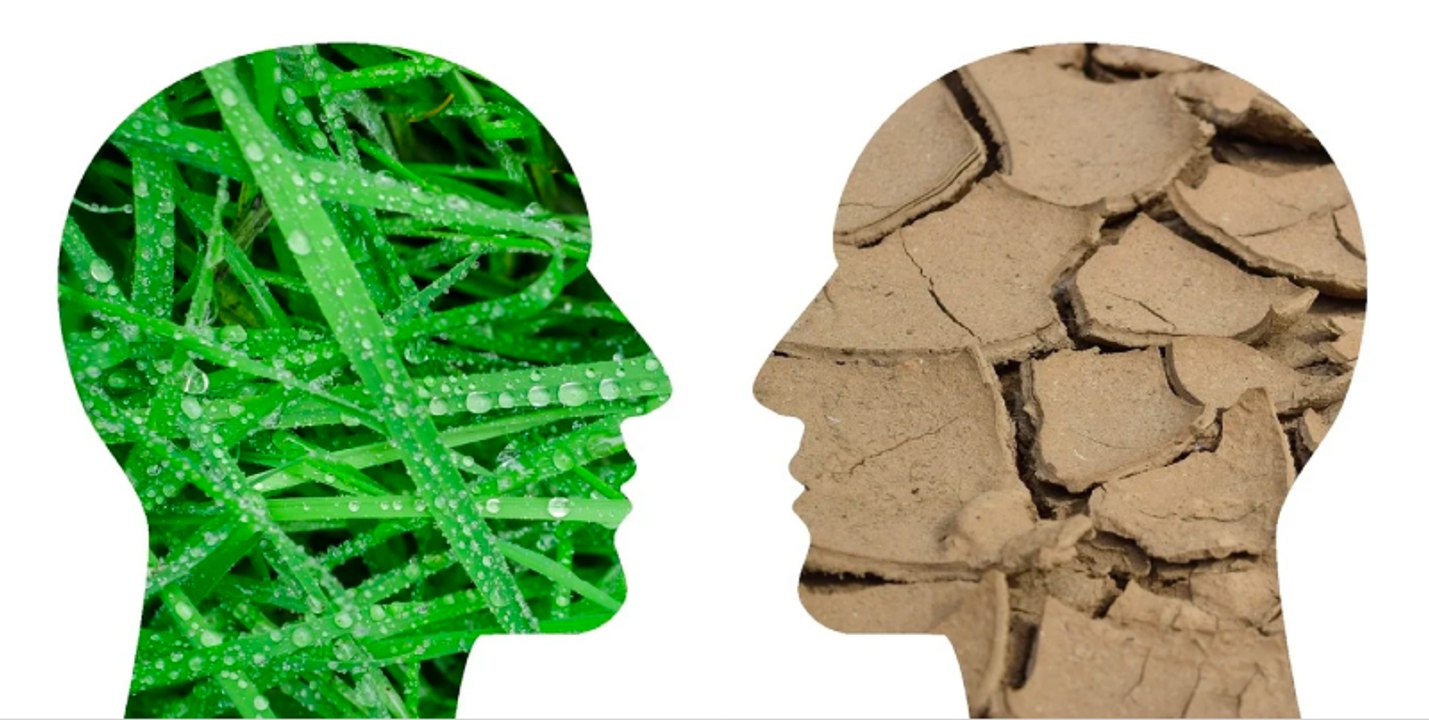 Rubén García: los tres factores clave en inversión en acciones y divisas