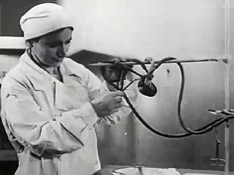 Experiments in the Revival of Organisms (1940)