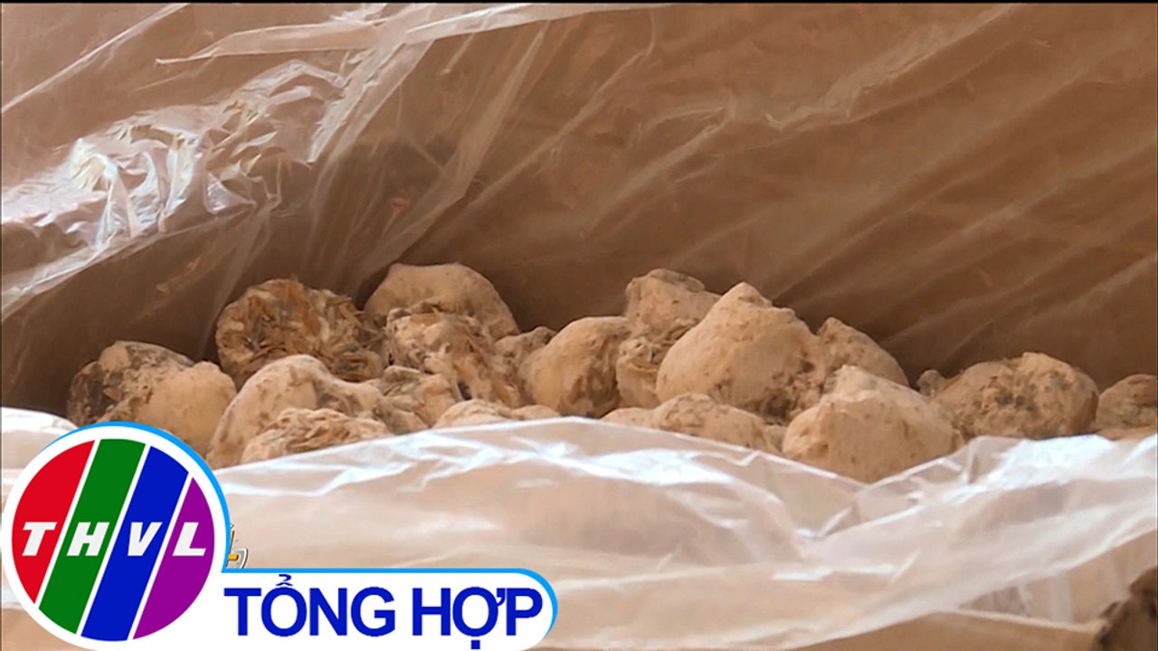 Thu giữ 1,3 tấn men rượu không rõ nguồn gốc tại Hà Tĩnh