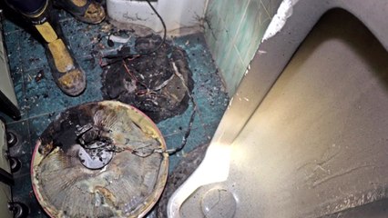 경기 시흥 빌딩에서 불...1명 부상·9명 구조 / YTN