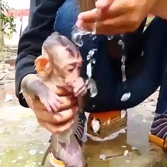 When the two brothers were afraid to take a shower _heart_eyes__heart_eyes__heart_eyes_ ( Source )