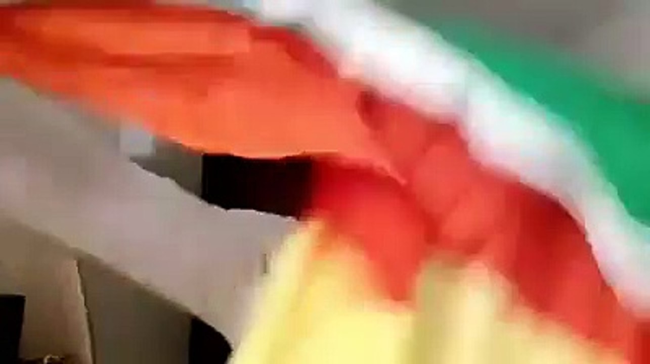 Max Senior Ivoire dechire le drapeau de la republique du Cameroun