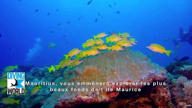 Soirée île Maurice avec les hôtels Beachcomber et plongée avec Diving World à l'île Maurice