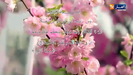 لاتكتئب : رفقا بالقوارير..رفقا بامهاتكم..رفقا بزوجاتكم..رفقا بأمهاتكم