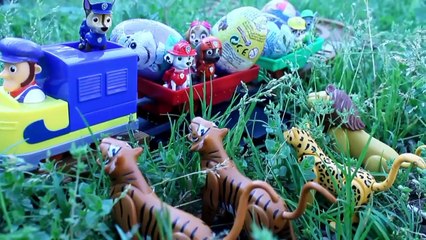 Скачать видео: PATRULLA CANINA y el TREN de los HUEVOS SORPRESA GIGANTES- Paw patrol Patrulla de cachorros UNBOXING