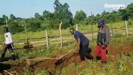 Governor Trades in Suit for Manual Job in Shamba