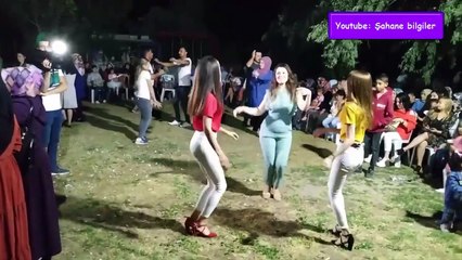 Çayır çimen bombastik havaları