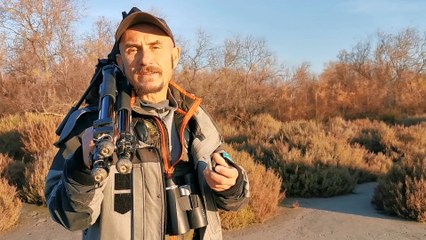 Vauvert Gallician : la réserve du Scamandre en hiver