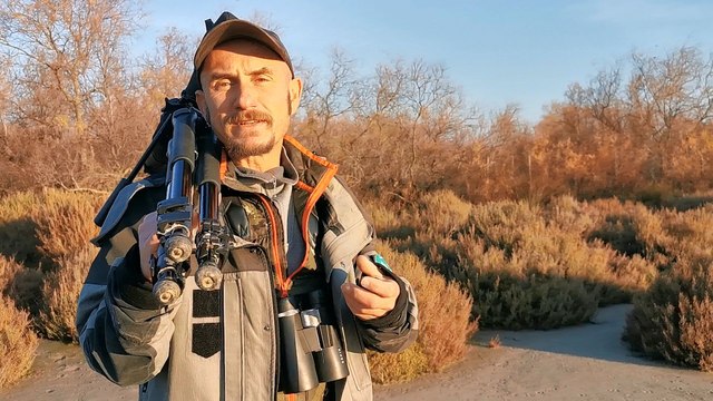 Vauvert Gallician : la réserve du Scamandre en hiver