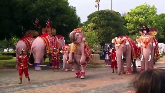 Elephants Dance Funny At National Zoo Most Amazing Animals Videos - Caught On Camera
