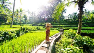 Bali Travel Package | TravelDilSe