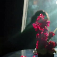 Behind the Scenes With Bea Alonzo