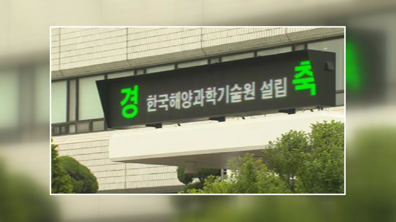 "나무 수천 그루 무단 처분"..."고의성 없어" / YTN