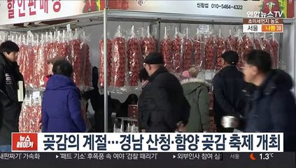 곶감의 계절…경남 산청·함양 곶감 축제 개최