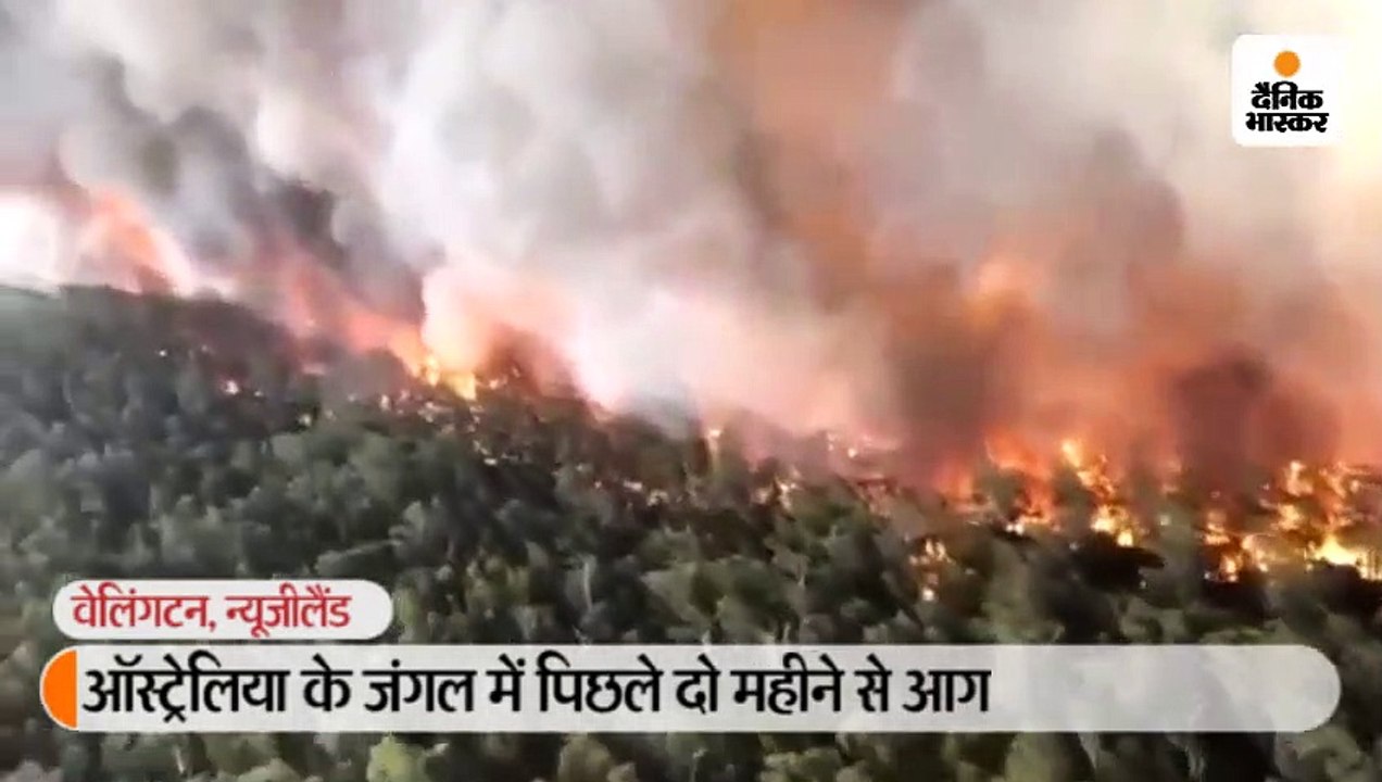 ऑस्ट्रेलिया के जंगलों में लगी आग का न्यूजीलैंड के ग्लेशियर पर असर, पीले रंग का हुआ