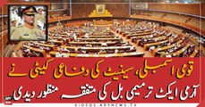 National assembly and Senate defense committee approved Army act unanimously