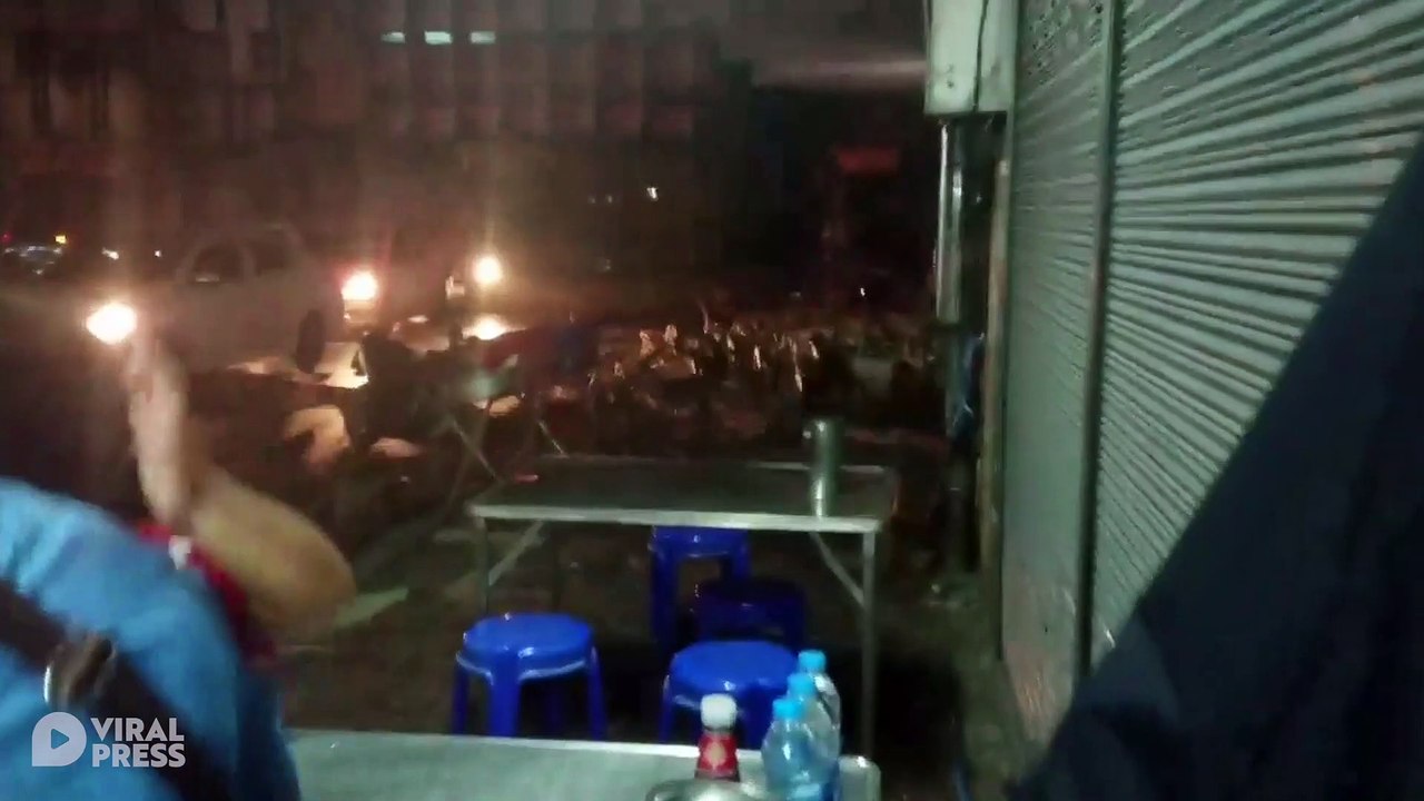 Wild Monkeys Scatter When Fireworks Start