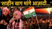 Delhi के Shaheen Bagh में CAA को लेकर Modi Government के खिलाफ बड़ा Protest, Video | वनइंडिया हिंदी