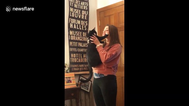 Cat puts up his paws so he doesn't have to take owner's kisses