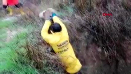 Mersin çukura düşen köpek kurtarıldı