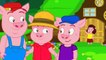 Les Trois Petits Cochons - Dessin animé en français - conte pour enfants