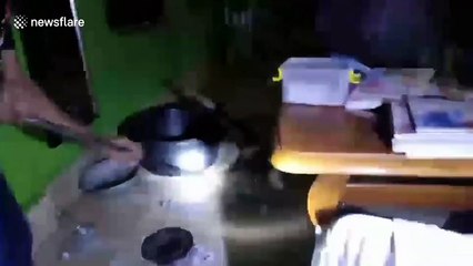 Monitor lizard caught outside house after terrorising pensioner