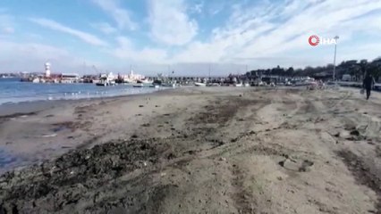 Deniz 30 metre çekildi, ilk kez görenler paniğe kapıldı