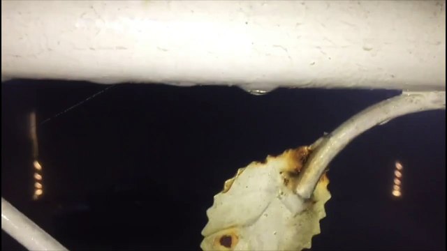 Foggy Night | December Fog | Weather of Faisalabad