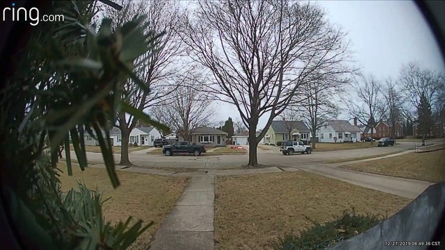 Person Trips After Tossing Package