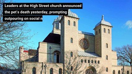 Thomas the Portsmouth Cathedral cat has died