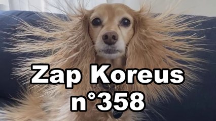 Zap Koreus n°358