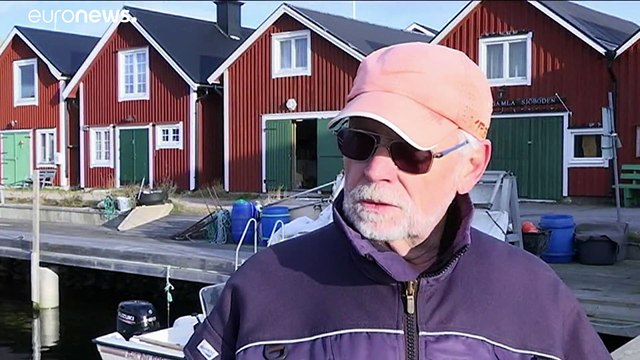 Токсичная свалка на дне Балтики