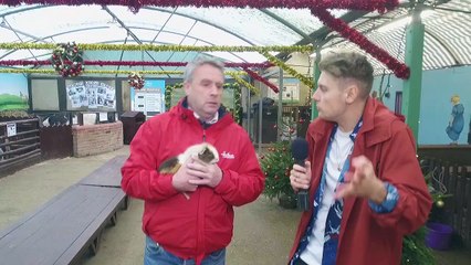 Veganuary + The British Farming Industry!?